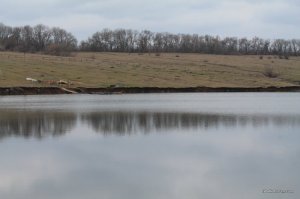 IMG_7276.JPG