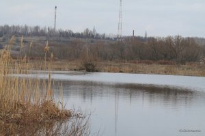 IMG_7287.JPG