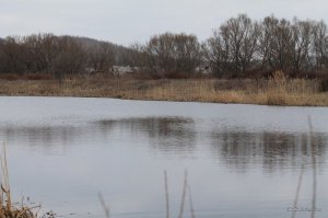 IMG_7290.JPG
