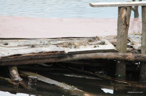 IMG_7302.JPG