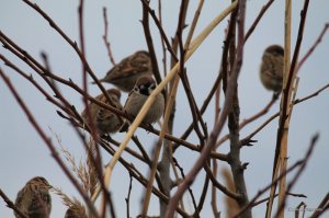 IMG_7283.JPG