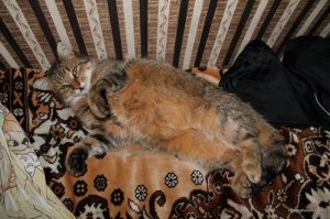 IMG_7358.JPG