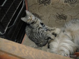 DSC07041.JPG