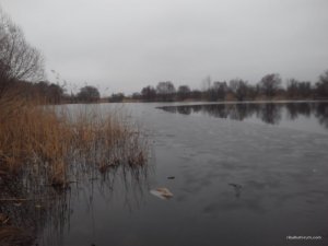 20160306112405.jpg