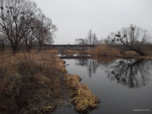 20160306084135.jpg