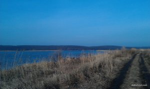 IMAG0008.jpg