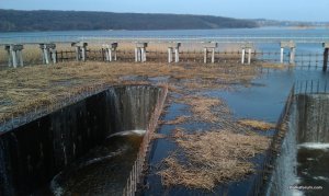 IMAG0016.jpg