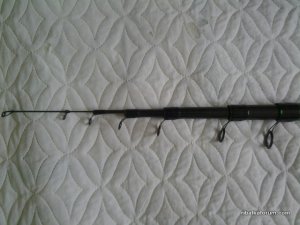 20160308_152710.jpg
