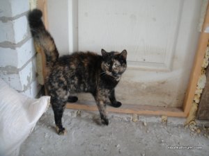 DSC07136.JPG