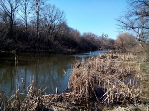 d_Ho5-h6M-w.jpg