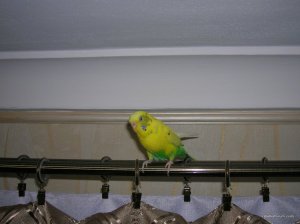 DSCN9109.JPG