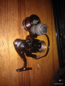 WP_002847.jpg