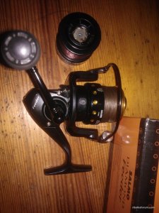 WP_002849.jpg