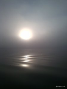 IMG_20141011_075317.jpg