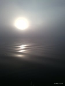 IMG_20141011_075320.jpg