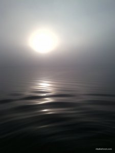 IMG_20141011_075334.jpg