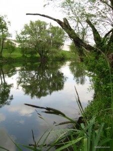 IMG_0129.jpg