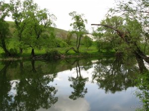 IMG_0130.jpg