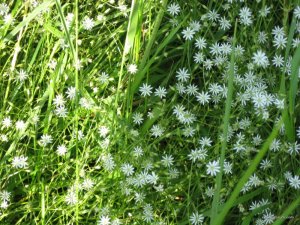 IMG_0193.jpg