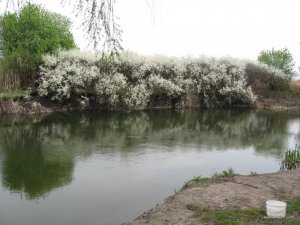IMG_4349.jpg
