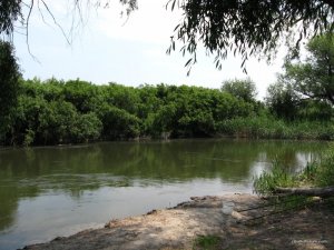 IMG_0224.jpg
