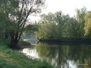 DSC00277.JPG