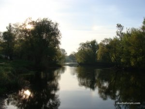 DSC00280.JPG