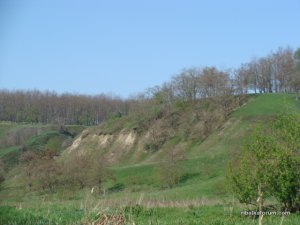 DSC00317.JPG