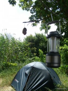 CIMG7446.JPG
