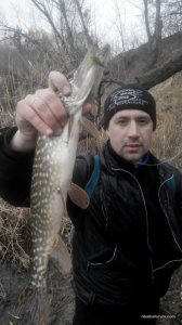 2016312084256.jpg