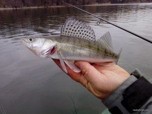 IMG_20160312_114018.jpg