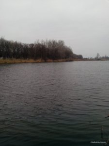 IMG_20160312_082924.jpg