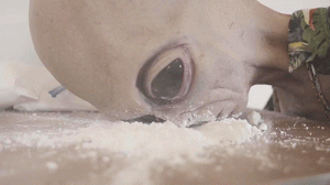 photofunky.gif