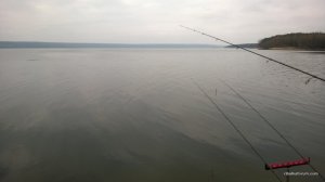 WP_20160312_020.jpg