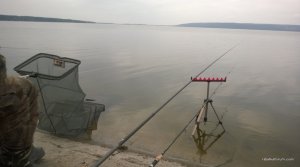 WP_20160312_024.jpg