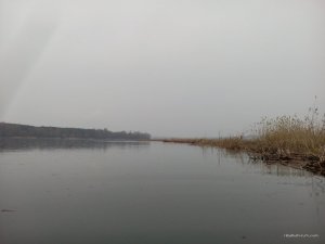 IMG_20160313_124031.jpg