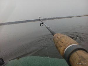 IMG_20160313_095935.jpg