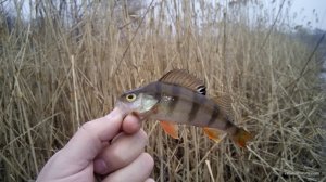 IMG_20160313_110838.jpg