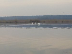 IMG_20160313_070715.jpg
