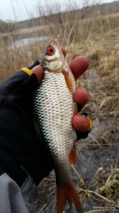 20160312_155129.jpg