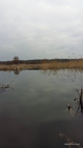 20160312_151324.jpg