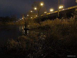 IMG_7702.JPG