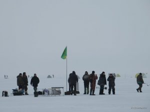 IMG_7149.JPG