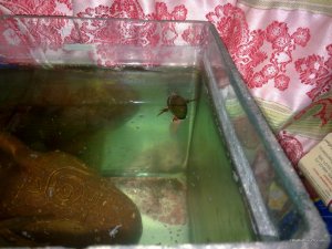160320161149.jpg