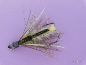 DSCN1613.JPG