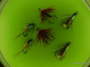 DSCN1638.JPG