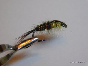 DSCN0861.JPG