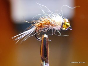 DSCN1317.JPG