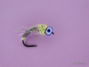 DSCN1569.JPG