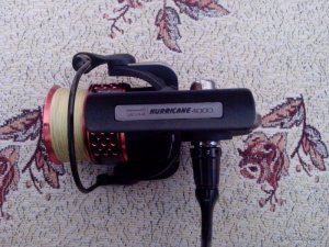IMG_20160316_111331.jpg
